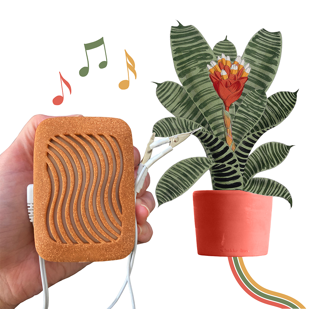 PlantWave device held up close to an illustration of a potted plant. 