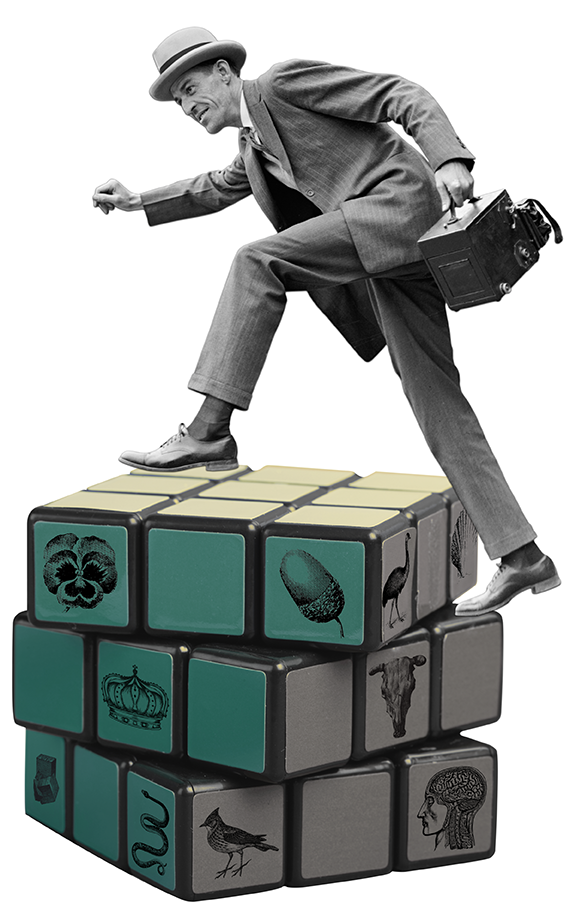 1950s Man with a camera climbing up the steps of a Rubik's Cube. Cube tiles images include a crown, snake, bird, brain, flower and acorn.