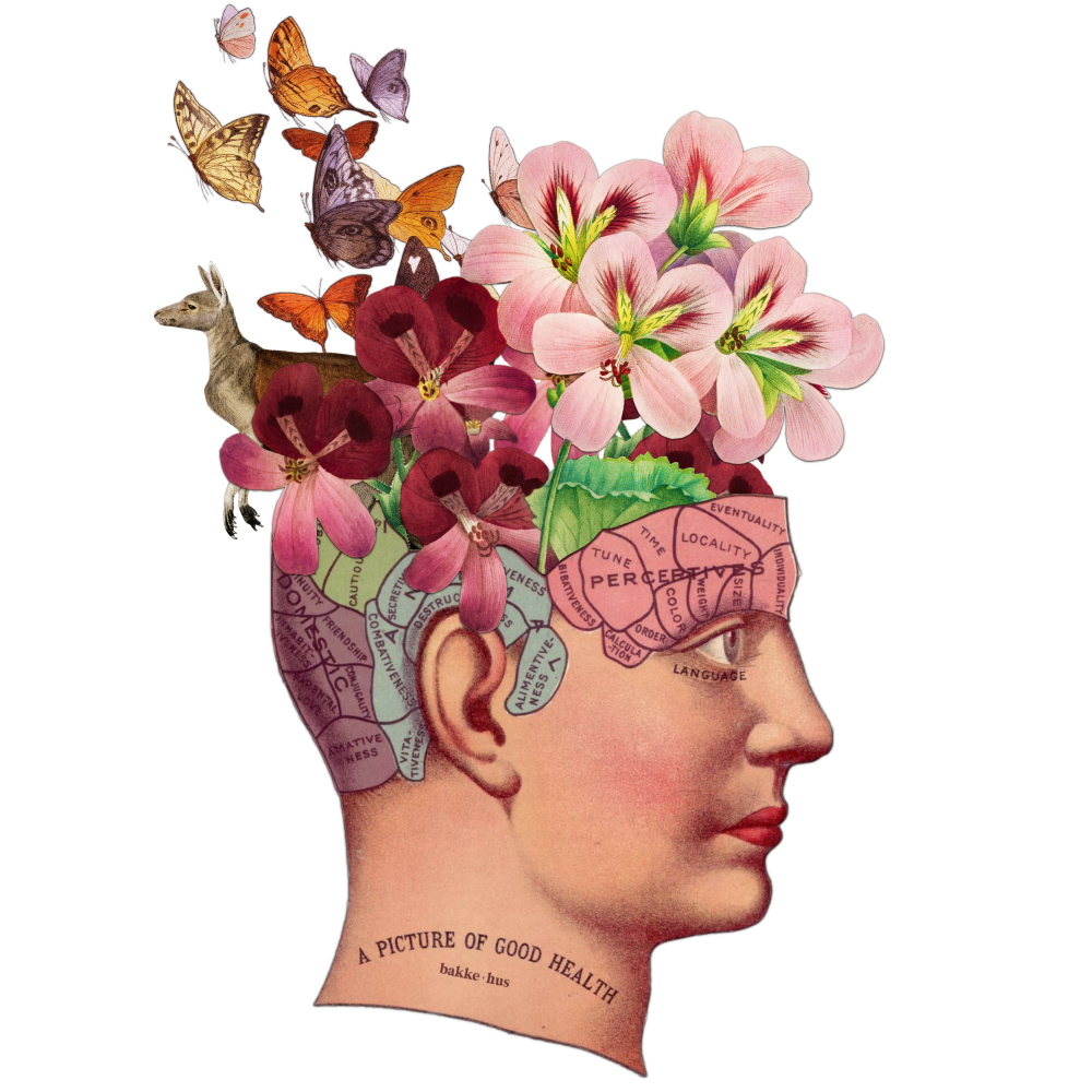 Photo Collage of the Human brain with flowers growing out of the brain. Image also contains a kangaroo and butterflies with the words A picture of Good Health written underneath