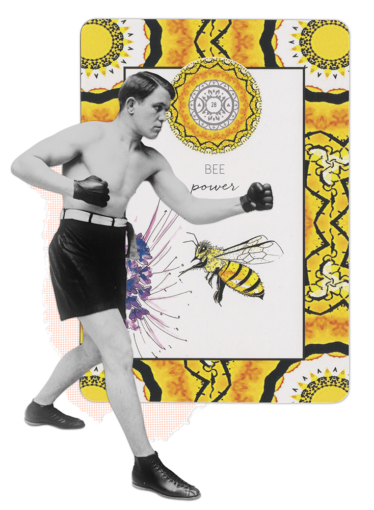 Photo collage of a boxer in a boxing stance in front of a giant Animal Kin Oracle card by Sarah Wilder. The Card is for Bee and has the word Power on the front of it.