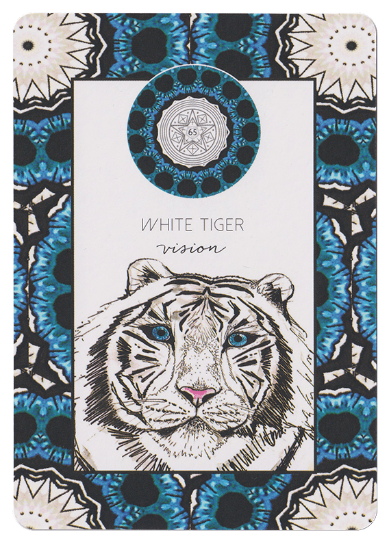 Blue & black Animal Kin Oracle Cards by Sarah Wilder featuring an illustrated white tiger and the word vision