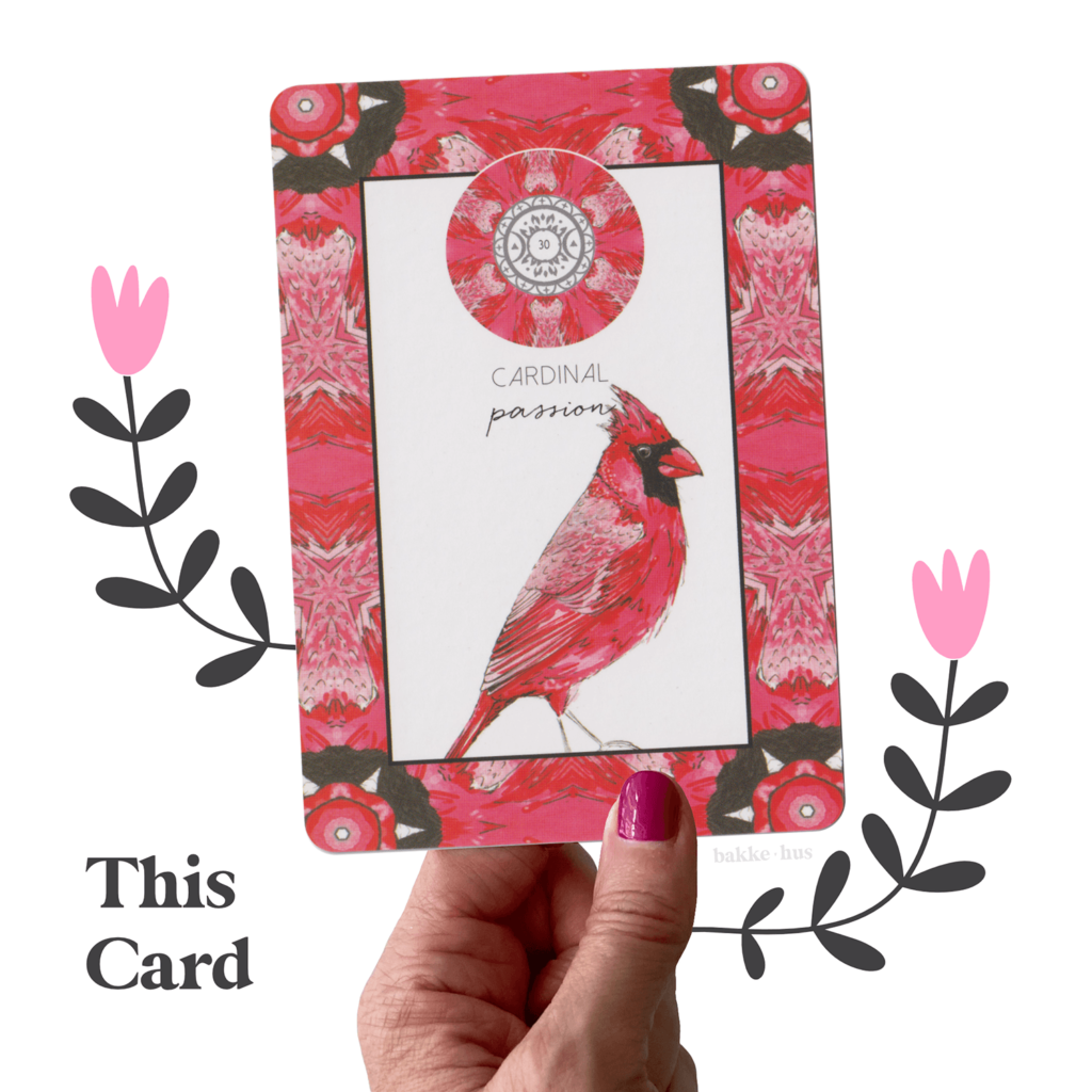 A female hand holding the Cardinal Oracle Card from Animal Kin Deck by Sarah Wilder. The Oracle card has the words Cardinal and Passion written on it. The image also contains two pink & black illustrated flowers and the words 'This Card" and bakkehus logo.