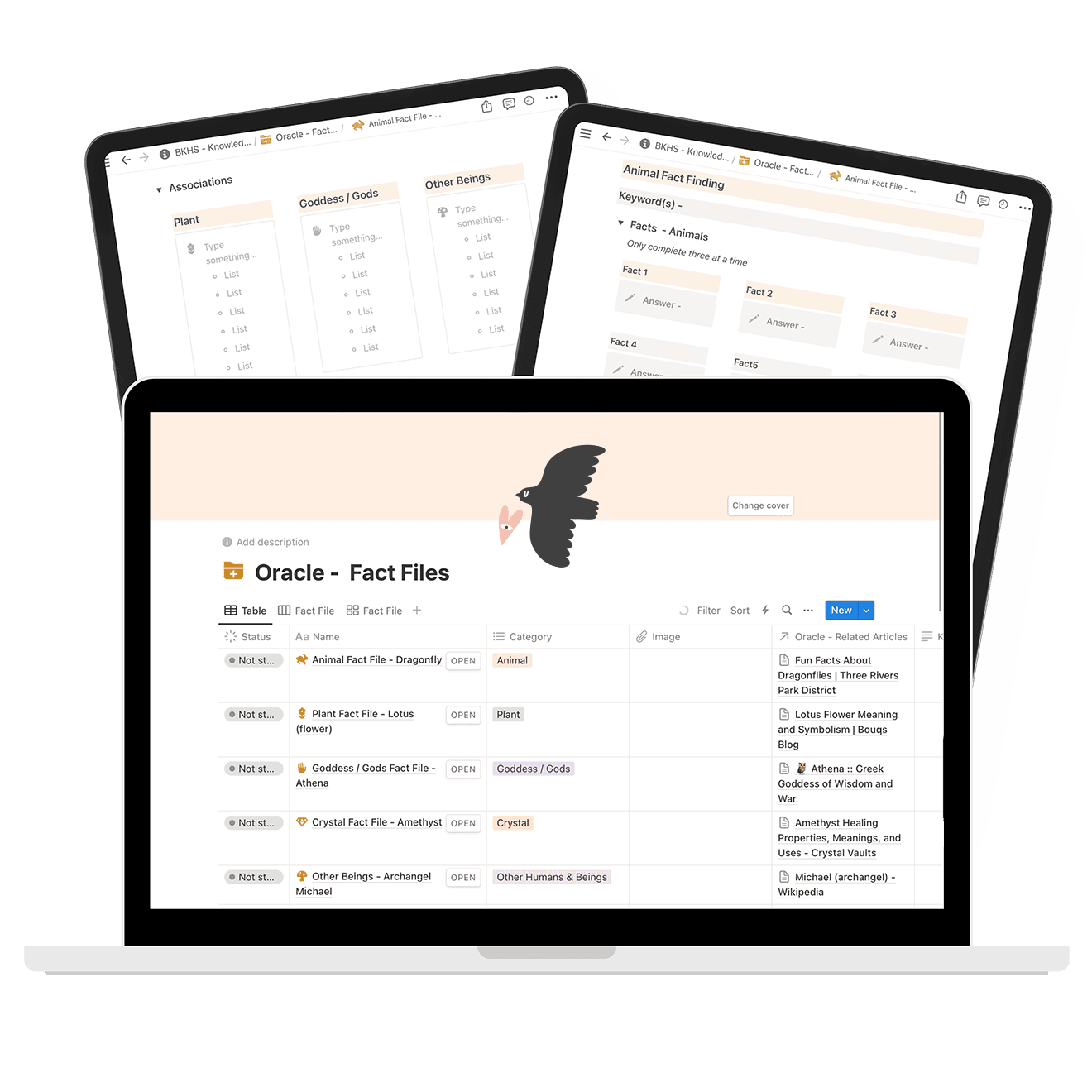 Web Programming Fact File Catch of the Day - Easy Oracle Learning Tools - bakkehus
