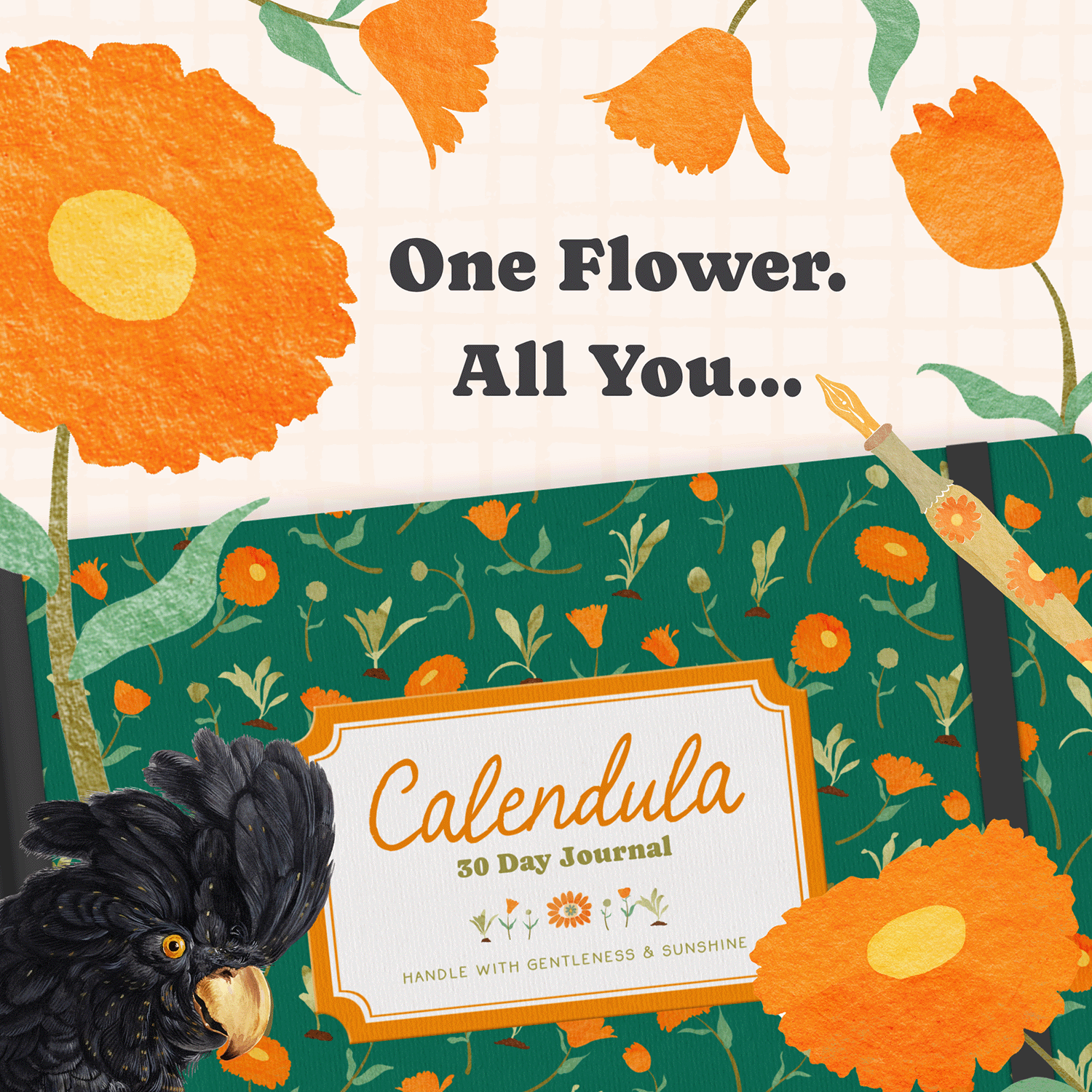 Meet Calendula – The Plant Mentor I Never Knew I Needed