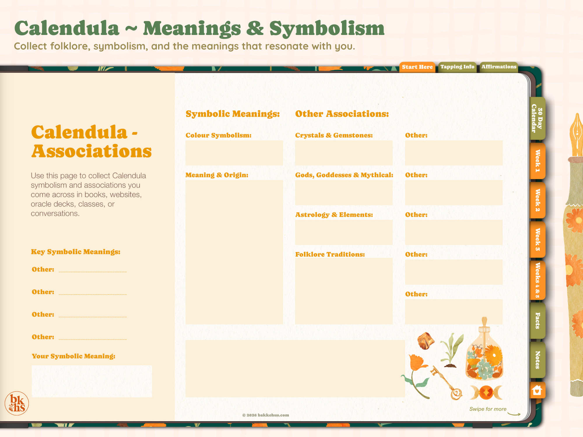 Calendula symbolism spread: A soft cream journal spread with warm golden-orange calendula accents shows titled sections like “Calendula – Associations,” “Symbolic Meanings,” and “Other Associations,” laid out in peach, butter yellow, forest green ), and warm orange, with small calendula and bottle illustrations in the lower right; by Heidi Isaksen-Loxton for bakkehus.com