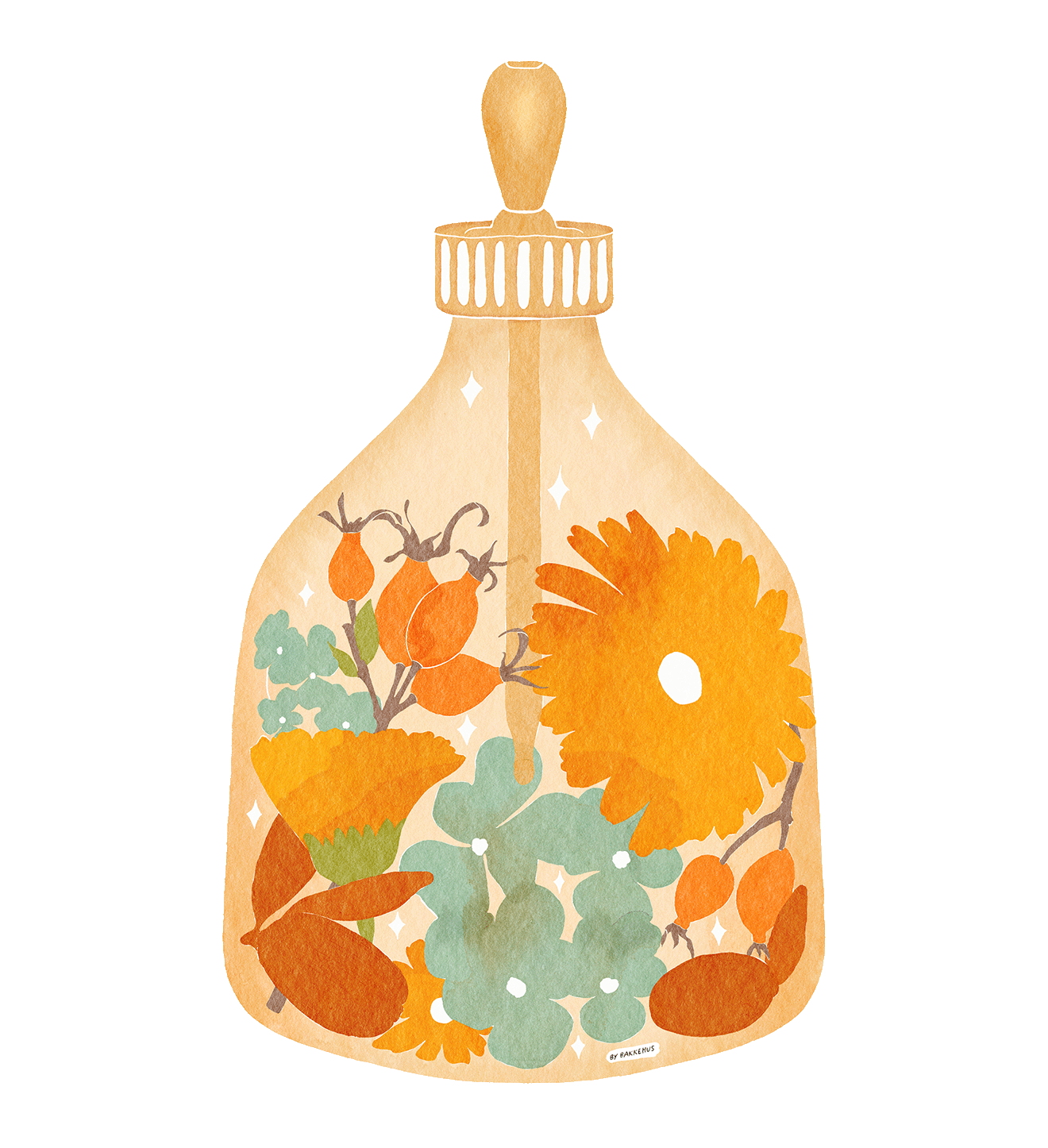 Herbal bottle illustration: A warm amber glass dropper bottle filled with calendula blooms, rosehips, and soft green leaves is rendered in textured watercolour style on a pale cream background, using honey gold, pumpkin orange, muted teal‑green, and soft beige; illustration by Heidi Isaksen-Loxton for bakkehus.com.
